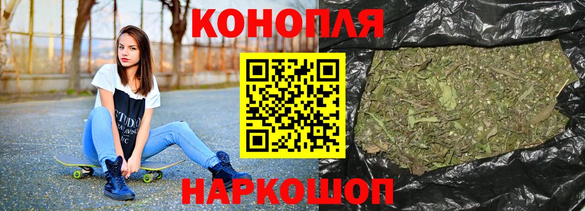 Бошки Шишки план  Вход с VPN  Павлово  Бошки Шишки марихуана  Шишки марихуана THC 21% 